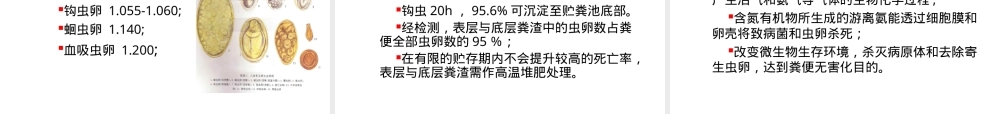 三格式化粪池厕所建设与管理PPT课件.ppt