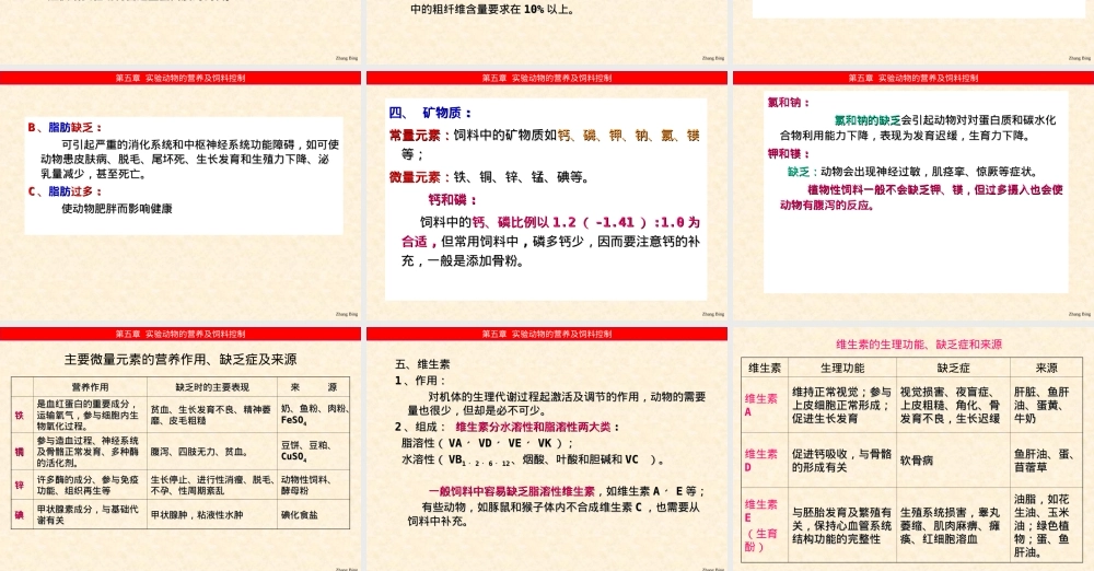 实验动物营养与饲料管理PPT课件.ppt
