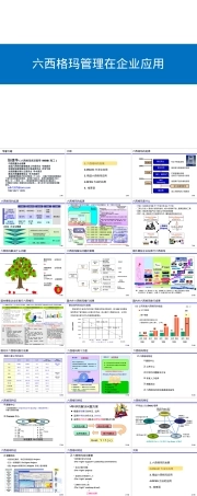 专家讲座六西格玛管理企业应用PPT课件.ppt