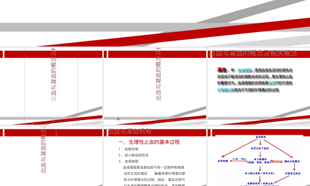 凝血机制医学教学PPT课件.ppt