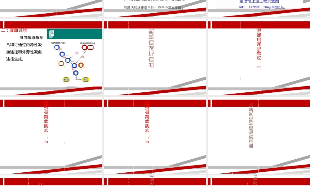 凝血机制医学教学PPT课件.ppt