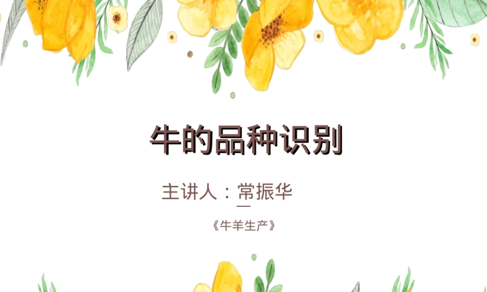 牛羊生产牛种及其品种教学PPT课件.ppt