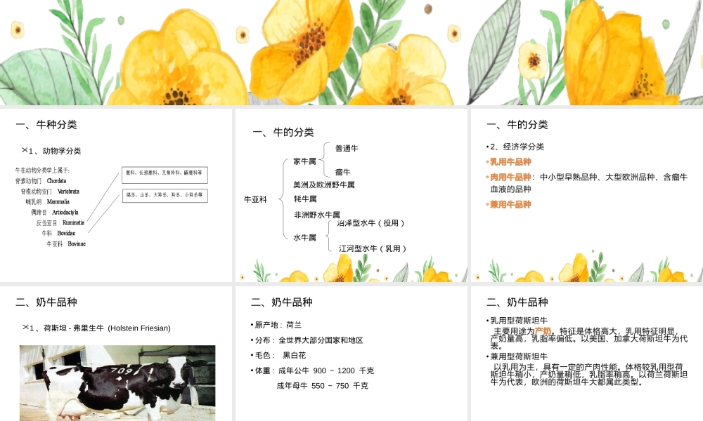 牛羊生产牛种及其品种教学PPT课件.ppt