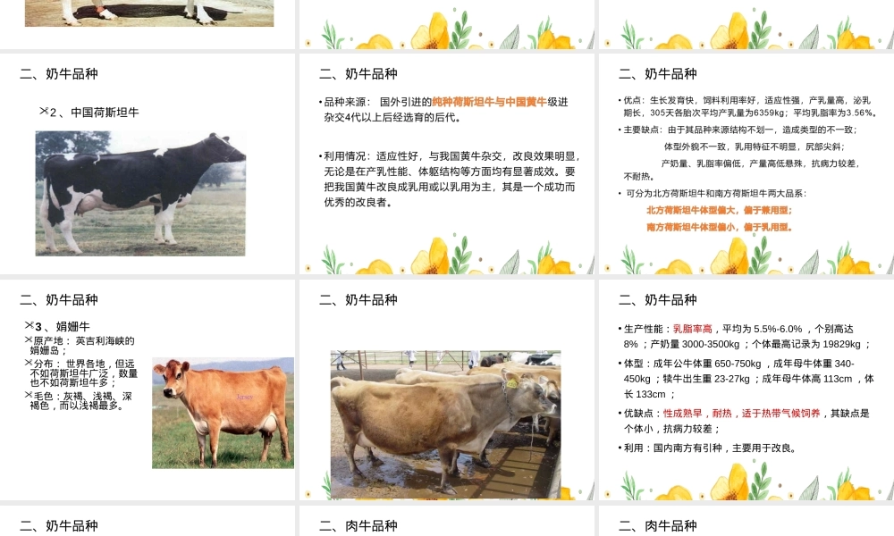 牛羊生产牛种及其品种教学PPT课件.ppt