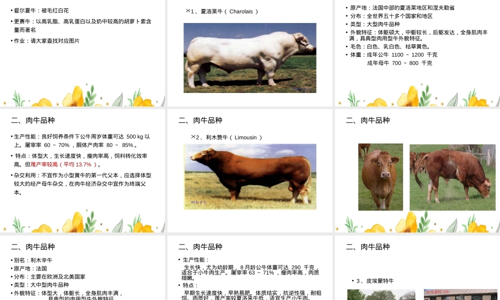 牛羊生产牛种及其品种教学PPT课件.ppt