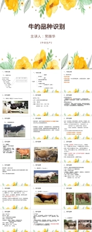 牛羊生产牛种及其品种教学PPT课件.ppt
