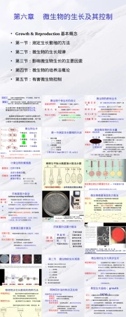 微生物的生长及其控制教学PPT课件.ppt