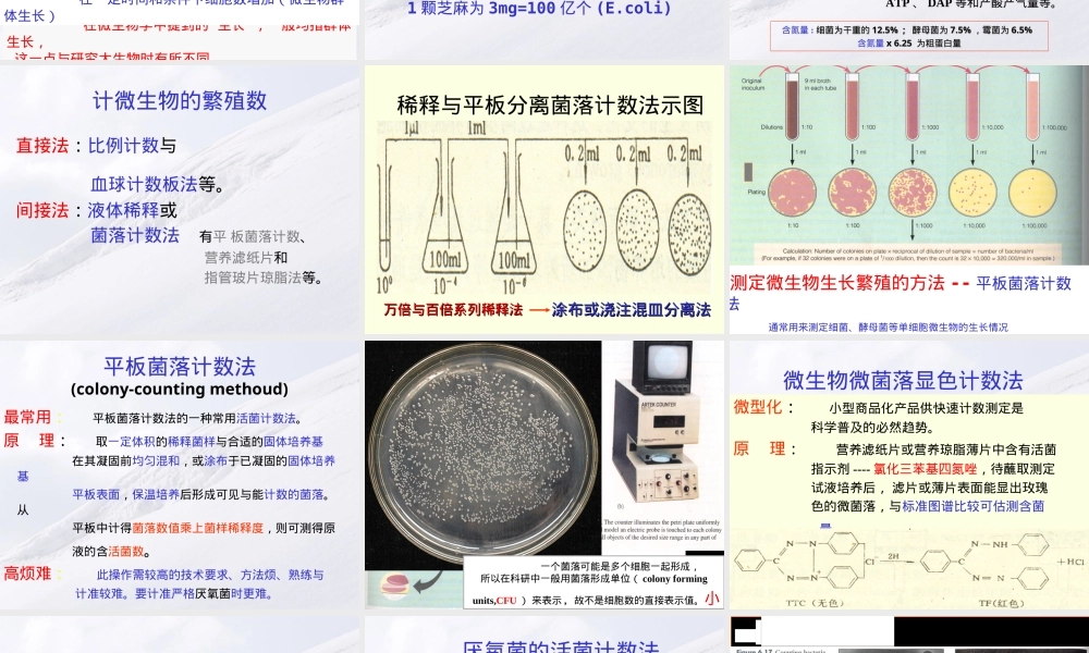 微生物的生长及其控制教学PPT课件.ppt