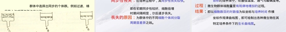 微生物的生长及其控制教学PPT课件.ppt