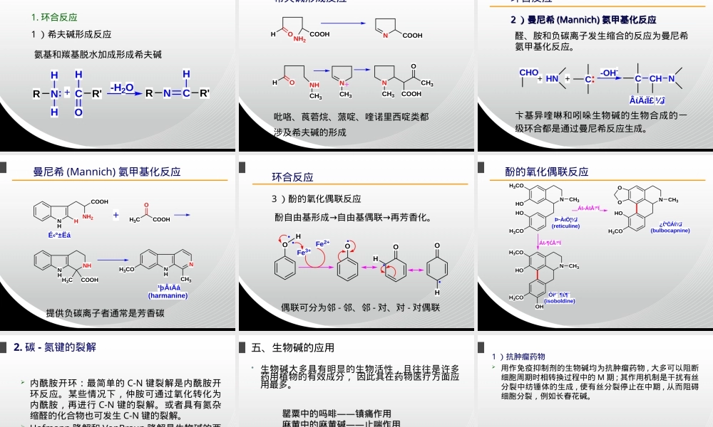 生物碱及其应用教学PPT课件.ppt