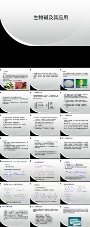 生物碱及其应用教学PPT课件.ppt
