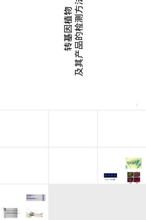 转基因植物及其产品检测方法PPT课件.ppt