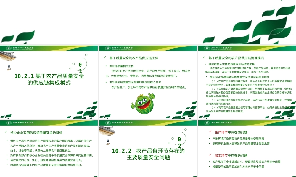 农产品质量安全标准供应链管理PPT课件.pptx