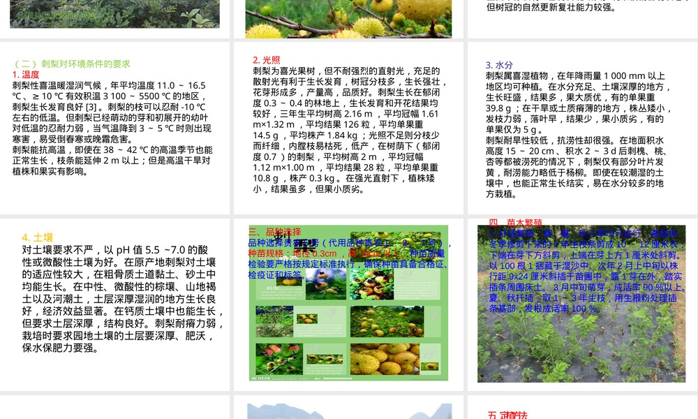 刺梨栽培管理技术PPT课件.pptx