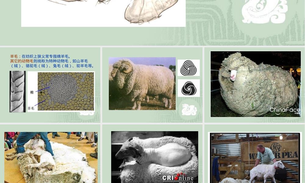 服装材料毛织物PPT课件.ppt