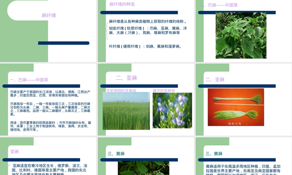 13种常用纤维材料用途与应用领域PPT课件.ppt