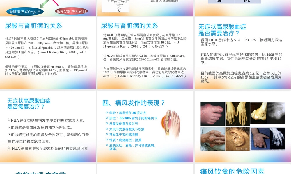 高尿酸血症与痛风饮食管理PPT课件 副本1.ppt