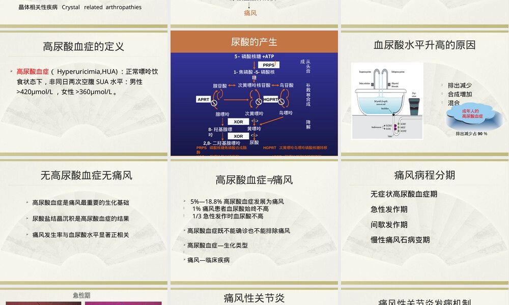 高尿酸血症与痛风医学教学PPT课件.ppt