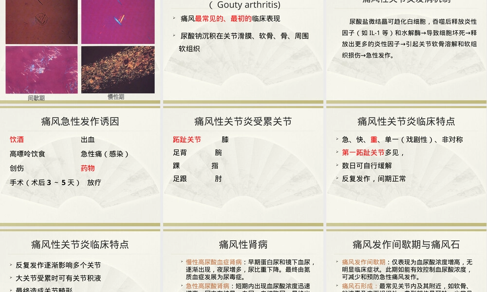 高尿酸血症与痛风医学教学PPT课件.ppt
