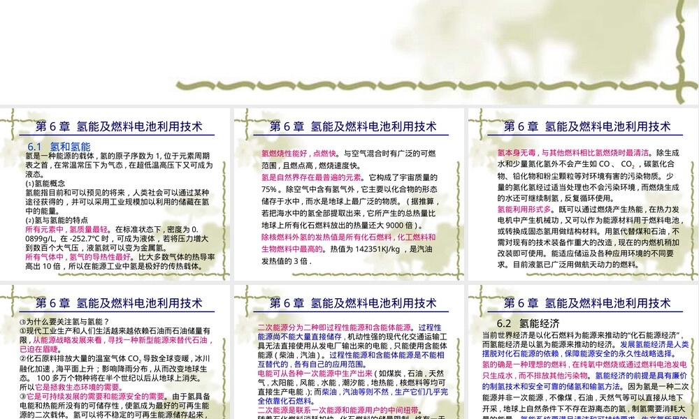 第6章氢能及燃料电池利用技术教学PPT课件.ppt