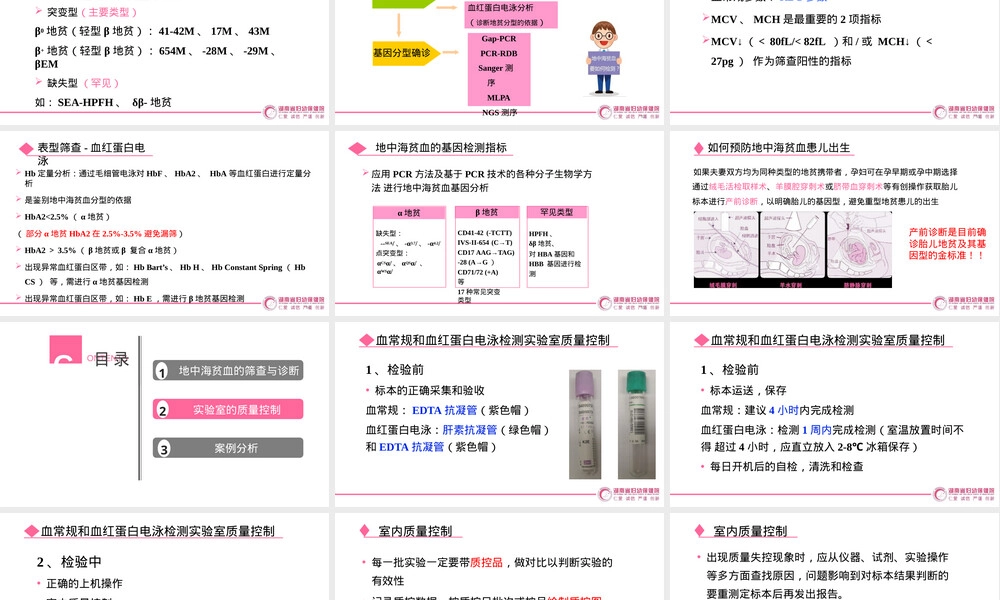 地中海贫血筛查与基因检测质控PPT课件.pptx