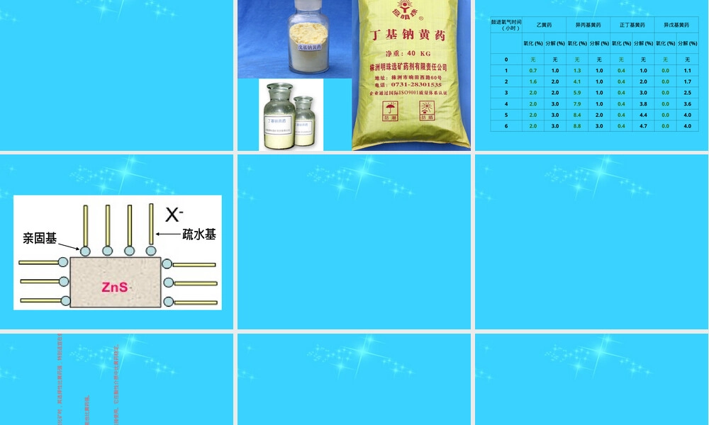 浮选药剂及其作用原理PPT课件.ppt
