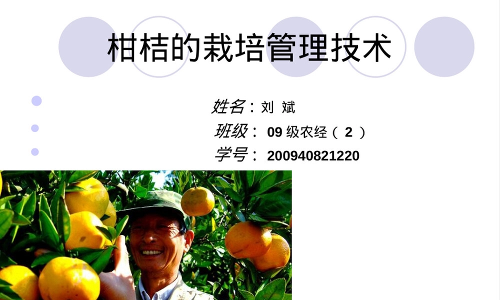 柑桔栽培管理技术PPT课件.ppt