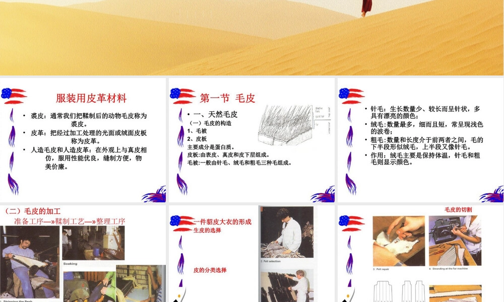 服装用皮革材料培训PPT课件.ppt