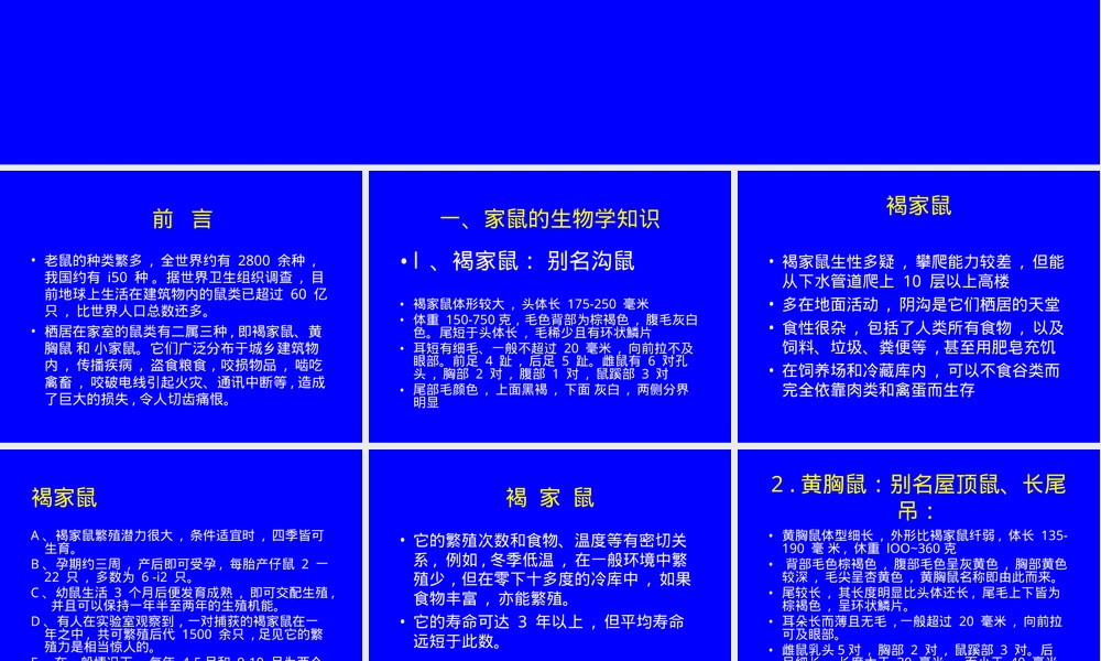 常见鼠类生物学及其防治PPT课件.ppt