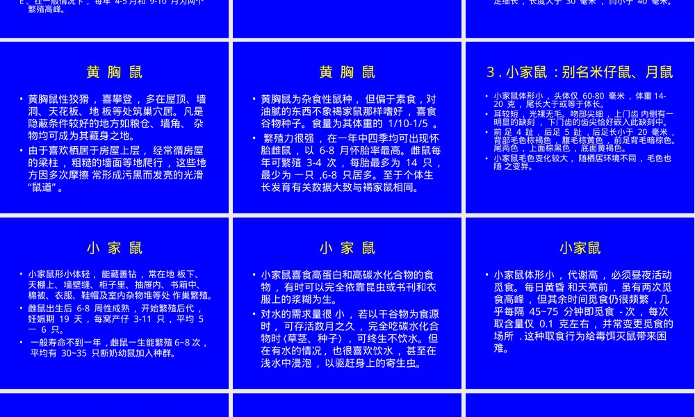 常见鼠类生物学及其防治PPT课件.ppt
