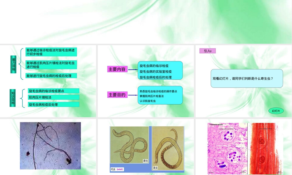 动物旋毛虫病的检疫与处理PPT课件.ppt