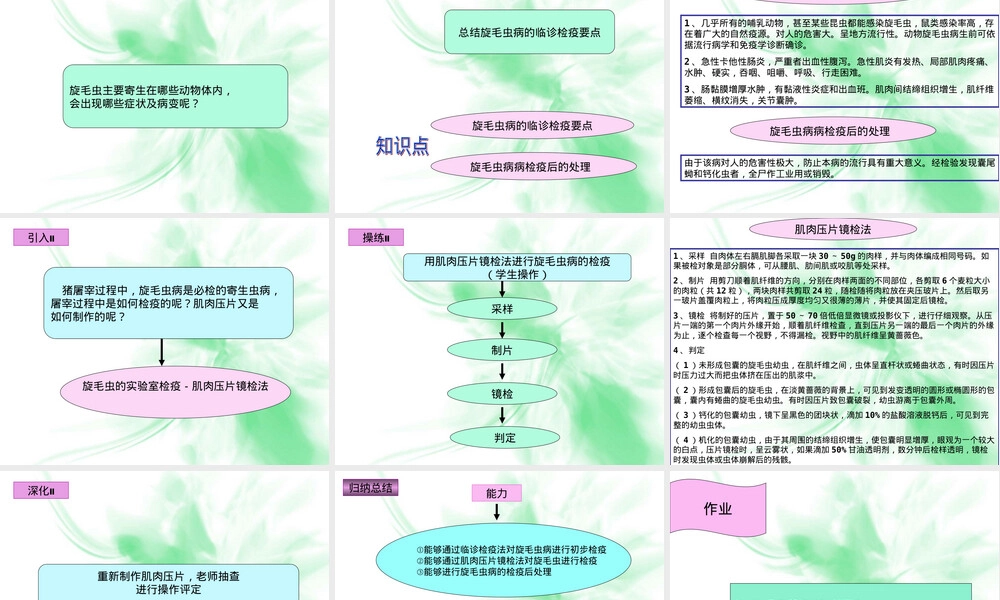 动物旋毛虫病的检疫与处理PPT课件.ppt