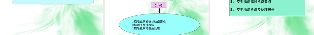 动物旋毛虫病的检疫与处理PPT课件.ppt