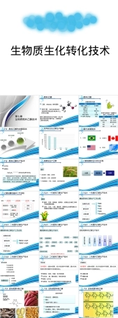 第七章生物质燃料乙醇技术PPT课件.pptx