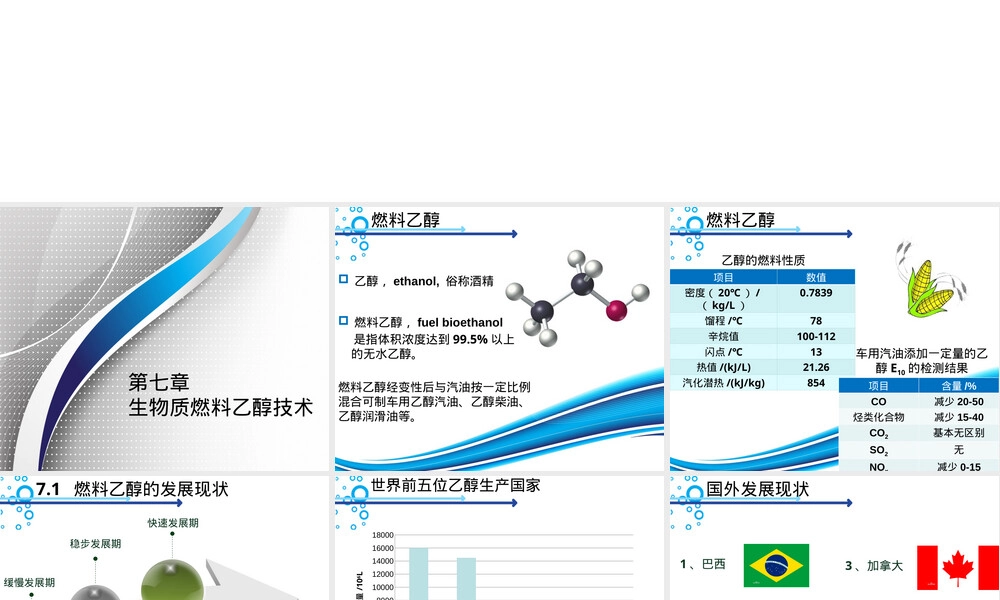 第七章生物质燃料乙醇技术PPT课件.pptx