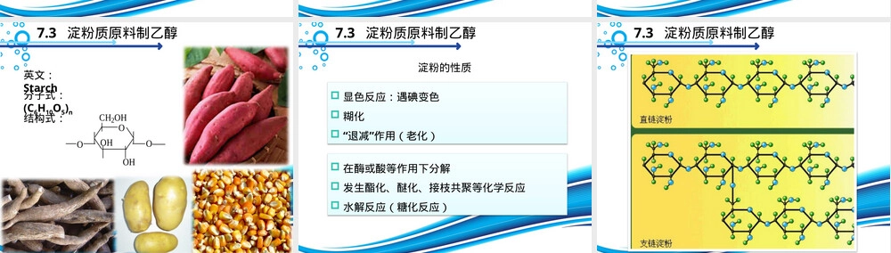 第七章生物质燃料乙醇技术PPT课件.pptx