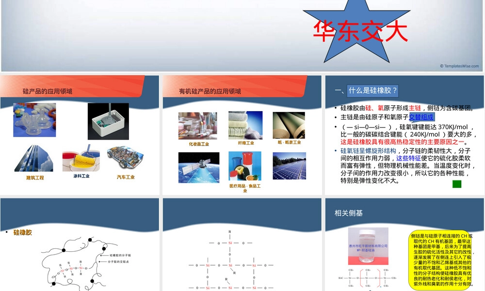 硅橡胶材料特性与应用教学PPT课件.ppt