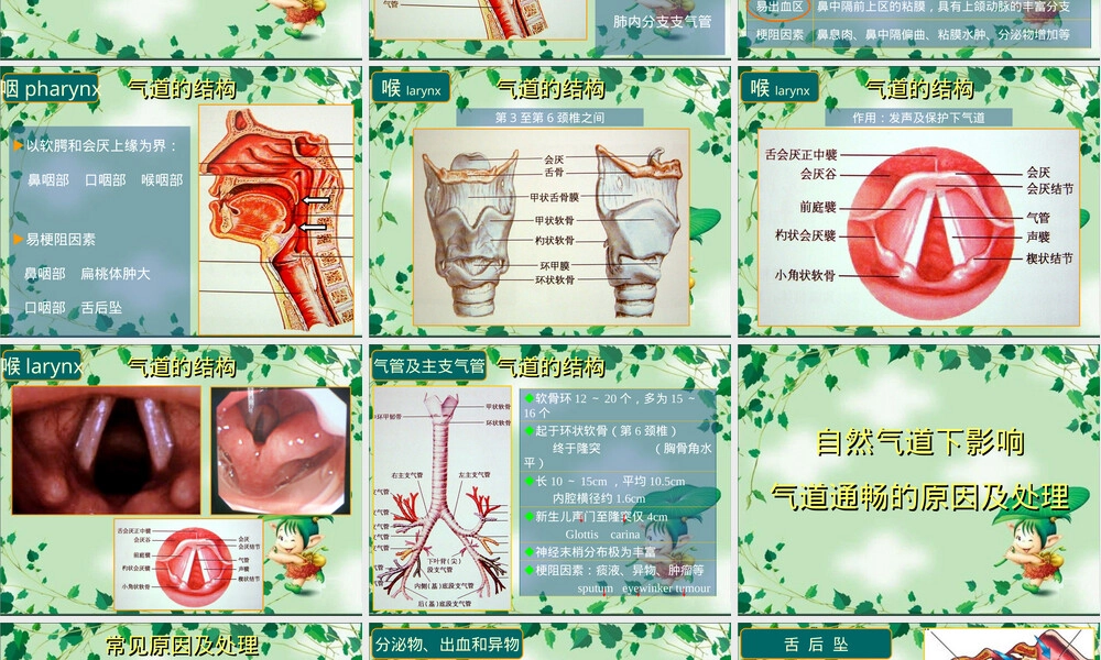 麻醉教学气道管理PPT课件.ppt