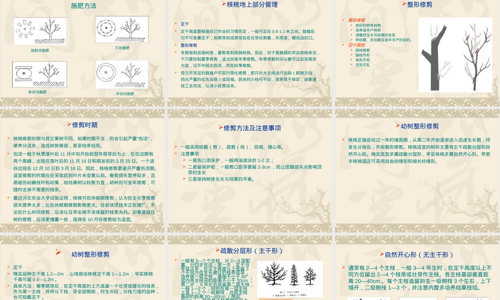 核桃栽培管理技术培训PPT课件.ppt