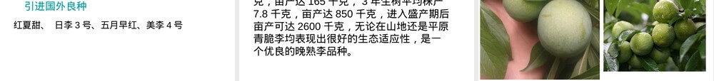 李杏栽培管理技术PPT课件.ppt