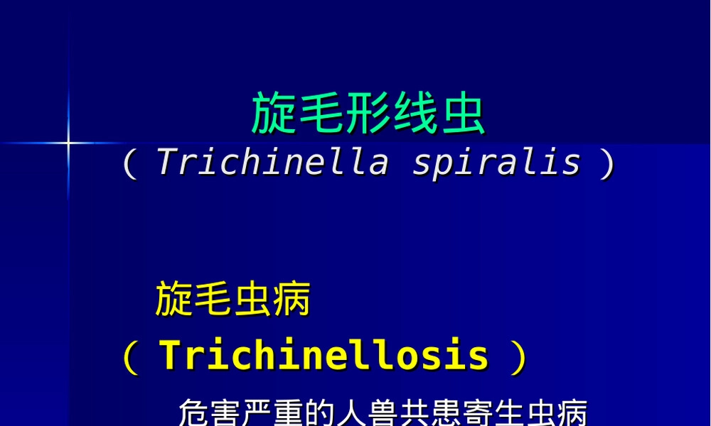 寄生虫旋毛虫教学PPT课件.ppt