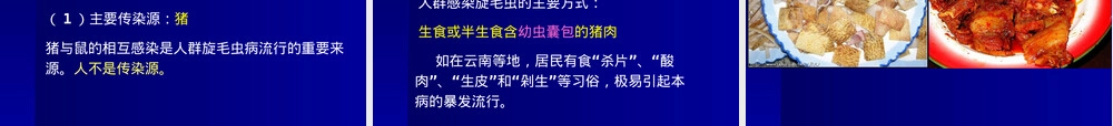 寄生虫旋毛虫教学PPT课件.ppt