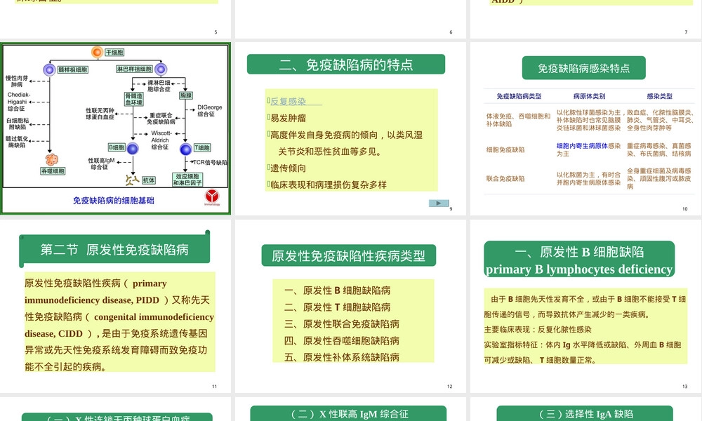 免疫缺陷病及其免疫检验PPT课件.ppt