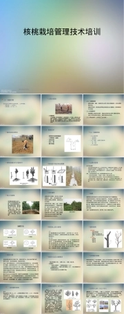 核桃栽培管理技术培训PPT课件 副本1.ppt