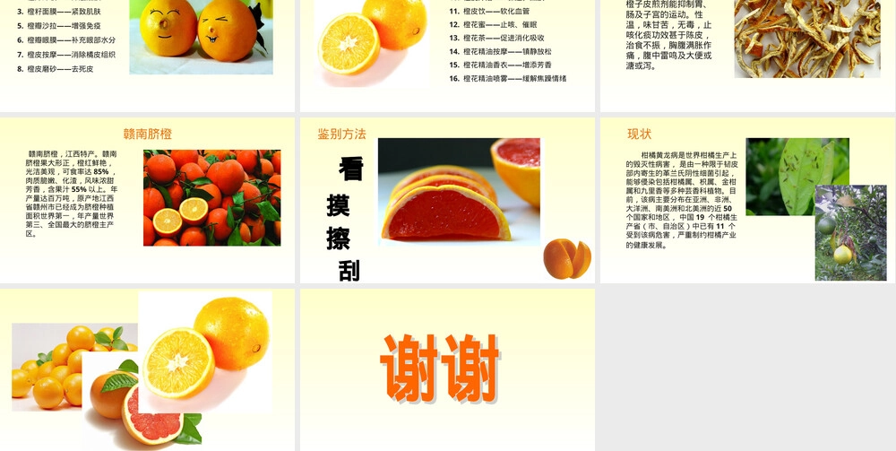 脐橙及其风味物质PPT课件.ppt