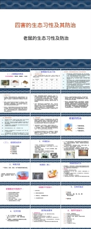 老鼠的生态习性及其防治PPT课件.ppt