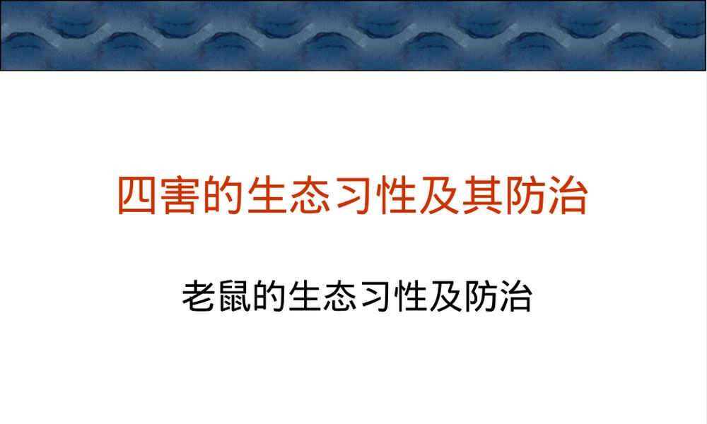 老鼠的生态习性及其防治PPT课件.ppt