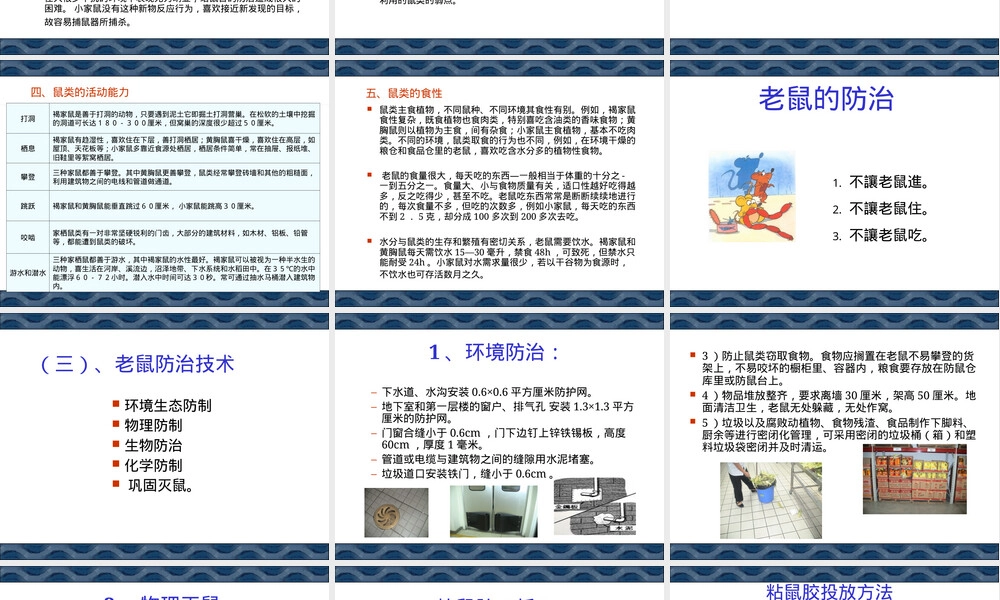 老鼠的生态习性及其防治PPT课件.ppt