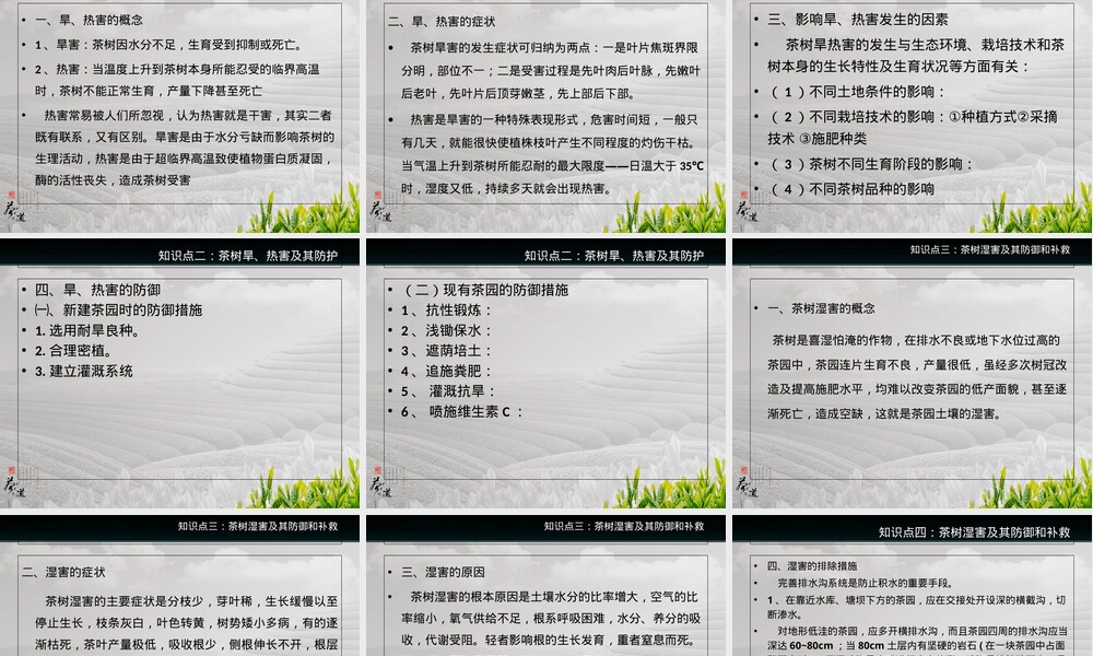 农事管理茶树气象性灾害防护技术PPT课件.ppt