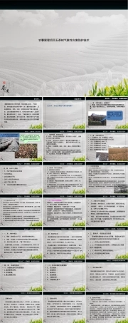 农事管理茶树气象性灾害防护技术PPT课件.ppt